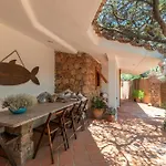 Gabbiani * Vignola Mare