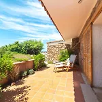 Gabbiani Vignola Mare