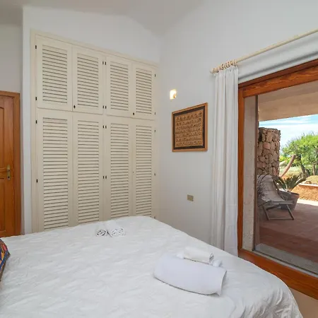 Gabbiani Vignola Mare