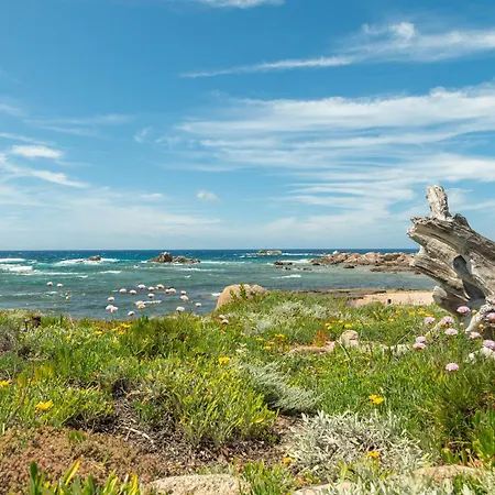 Gabbiani Βίλα Vignola Mare