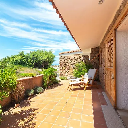 Gabbiani Vignola Mare