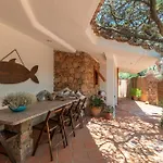 Gabbiani Vignola Mare
