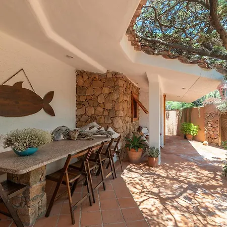 Gabbiani * Vignola Mare